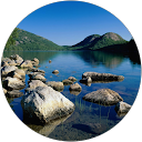 deniz arpacioglu profile picture